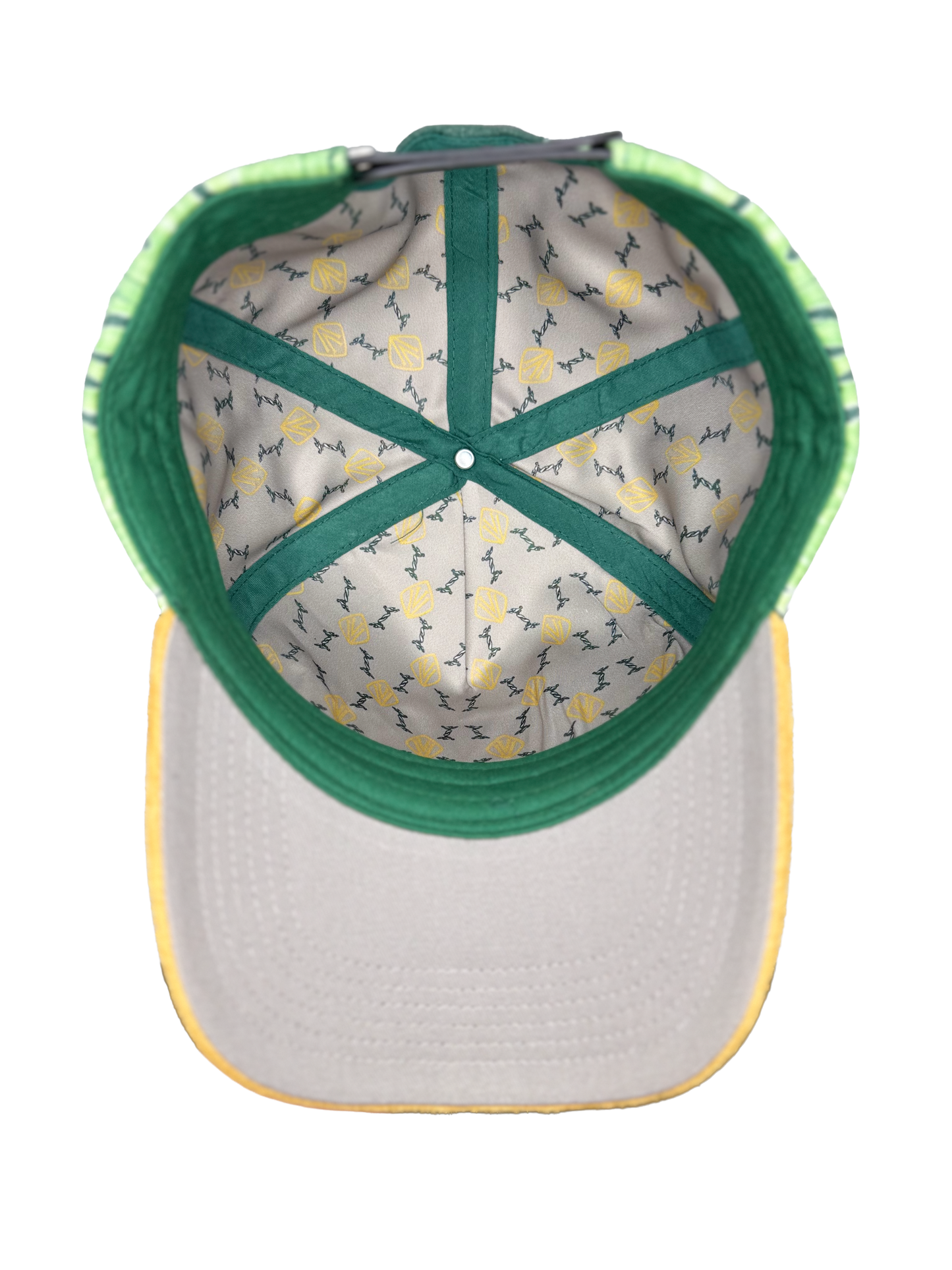 VICES Flame Snapback